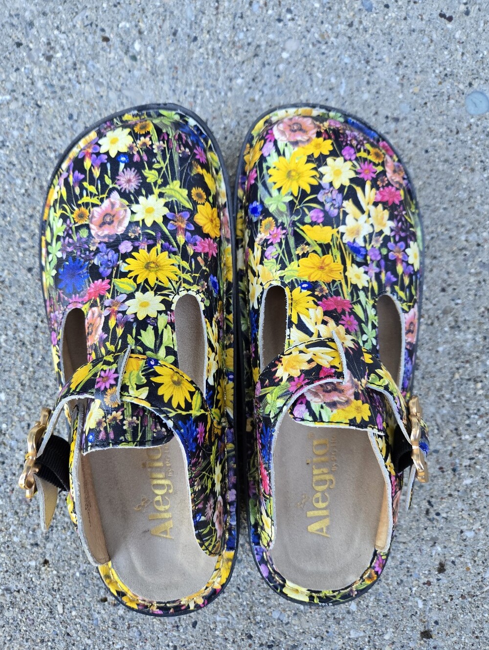 Alegria Wildflower Floral Leather Clogs Sz 36